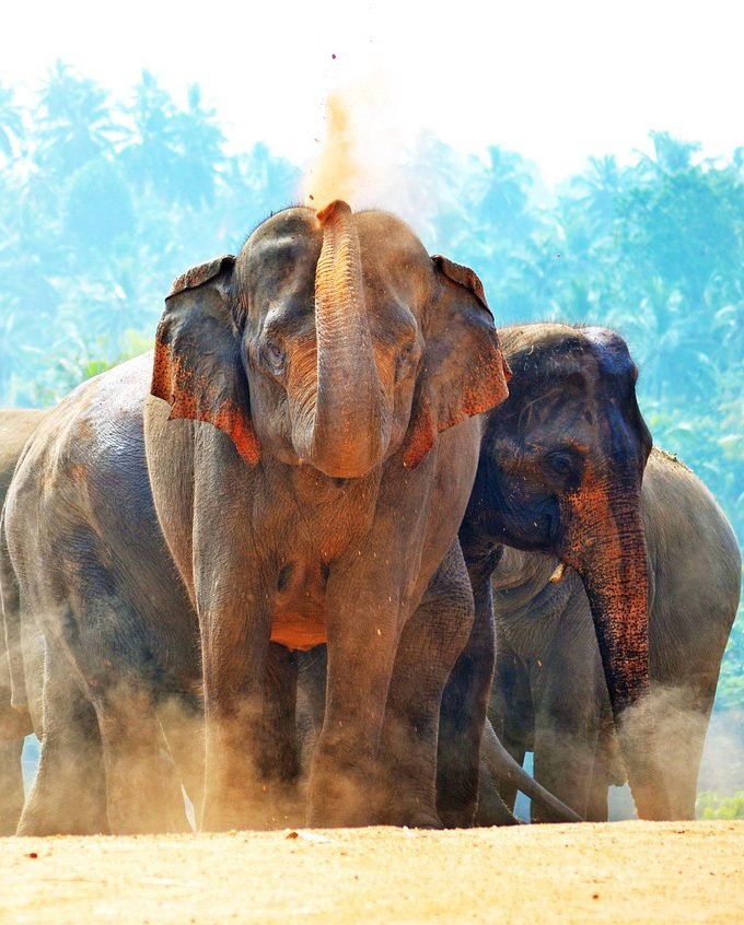 Ultimate Island Exploration